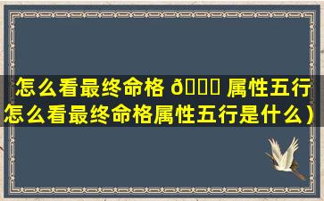 怎么看最终命格 🐛 属性五行（怎么看最终命格属性五行是什么）